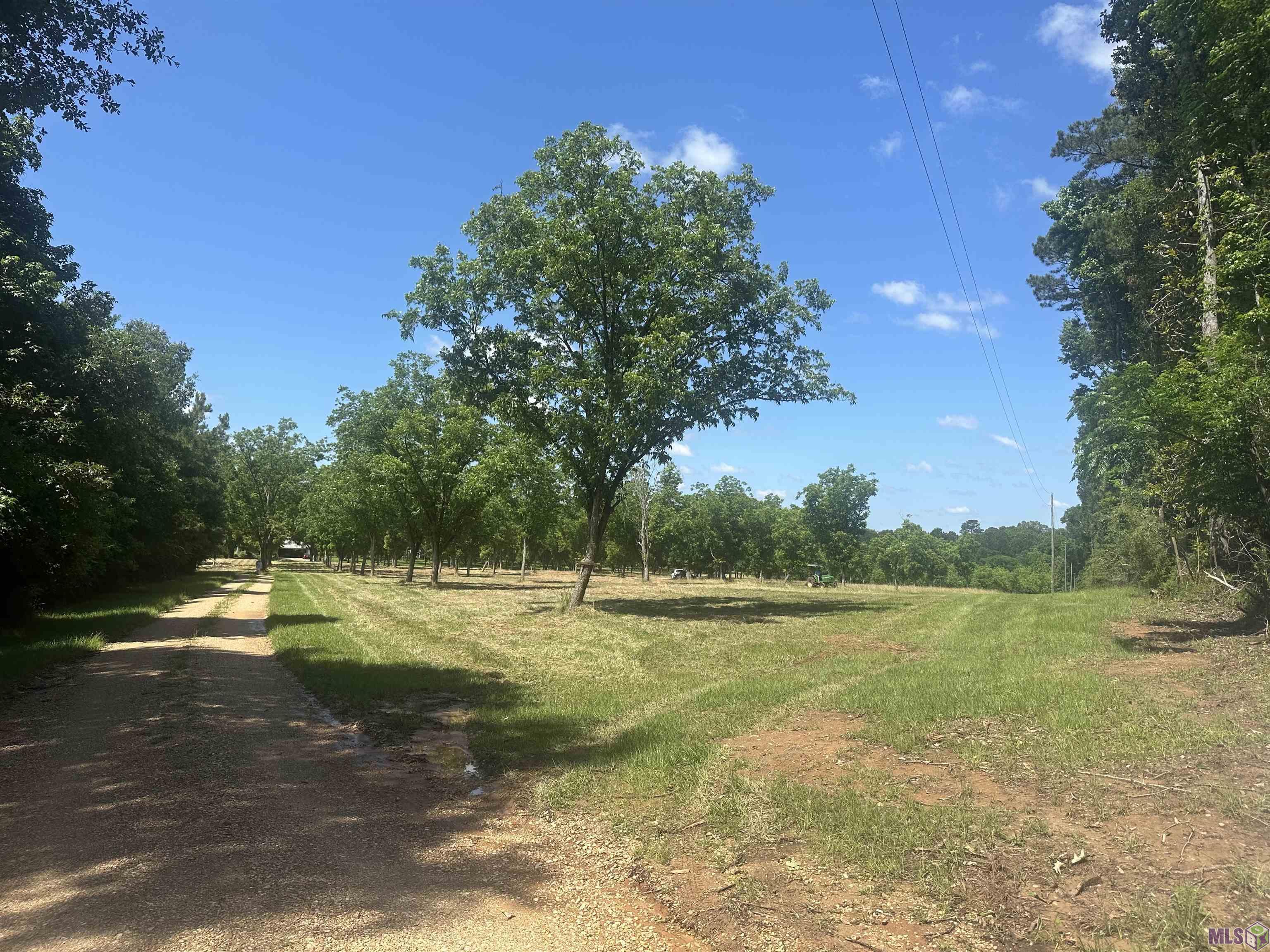 2725 Holly Ridge Road Jackson, LA 70748 - Photo 2 of 8