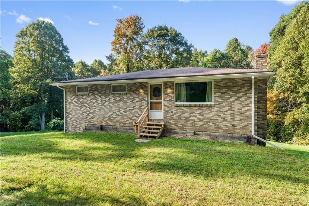 a view of a backyard with plants and large tree