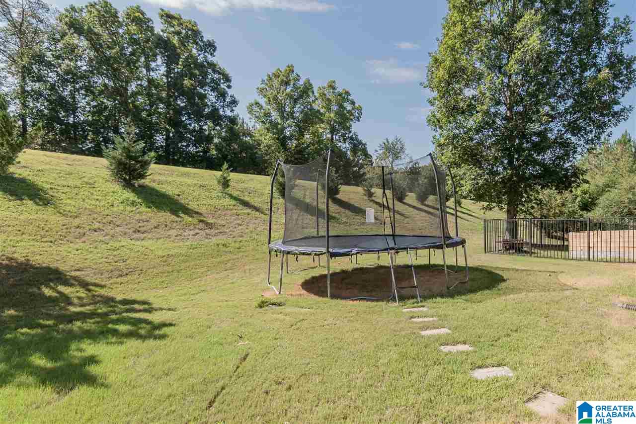 208 Bridgewater Terrace Helena, AL 35080 - Photo 47 of 50