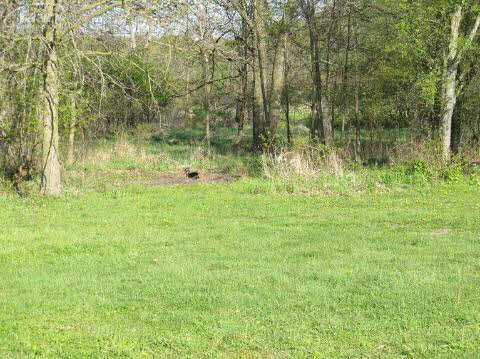 12031 Sharp Road Linden, MI 48451 - Photo 4 of 24 20125860-3.JPG