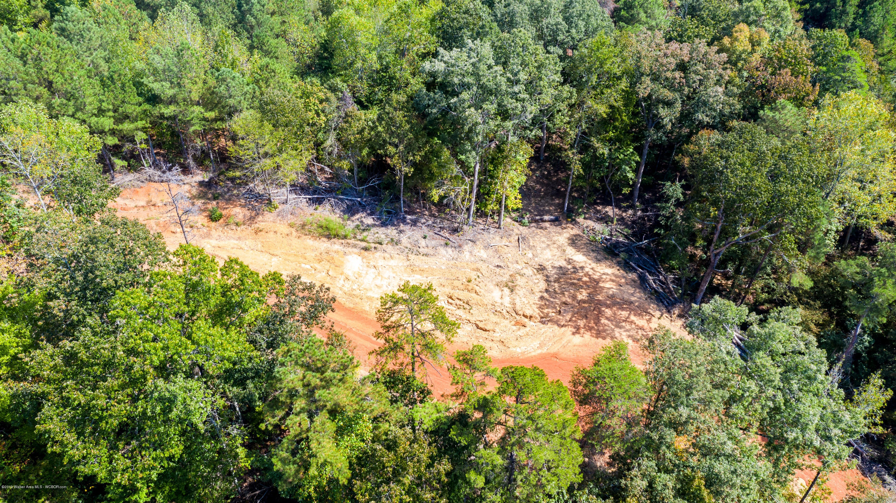 0 Co Road Cullman, AL 35057 - Photo 13 of 47 Gallery Image 13