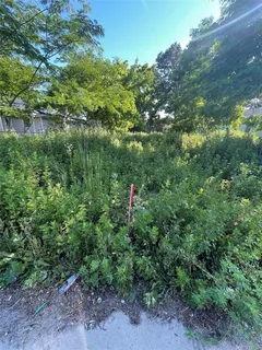 a view of a yard from a window