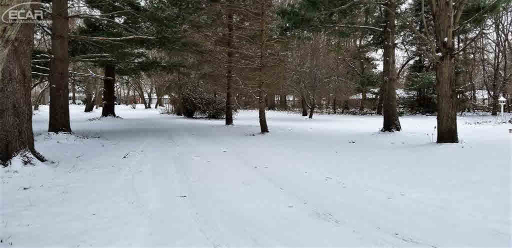 11154 North Webster Road Clio, MI 48420 - Photo 45 of 46