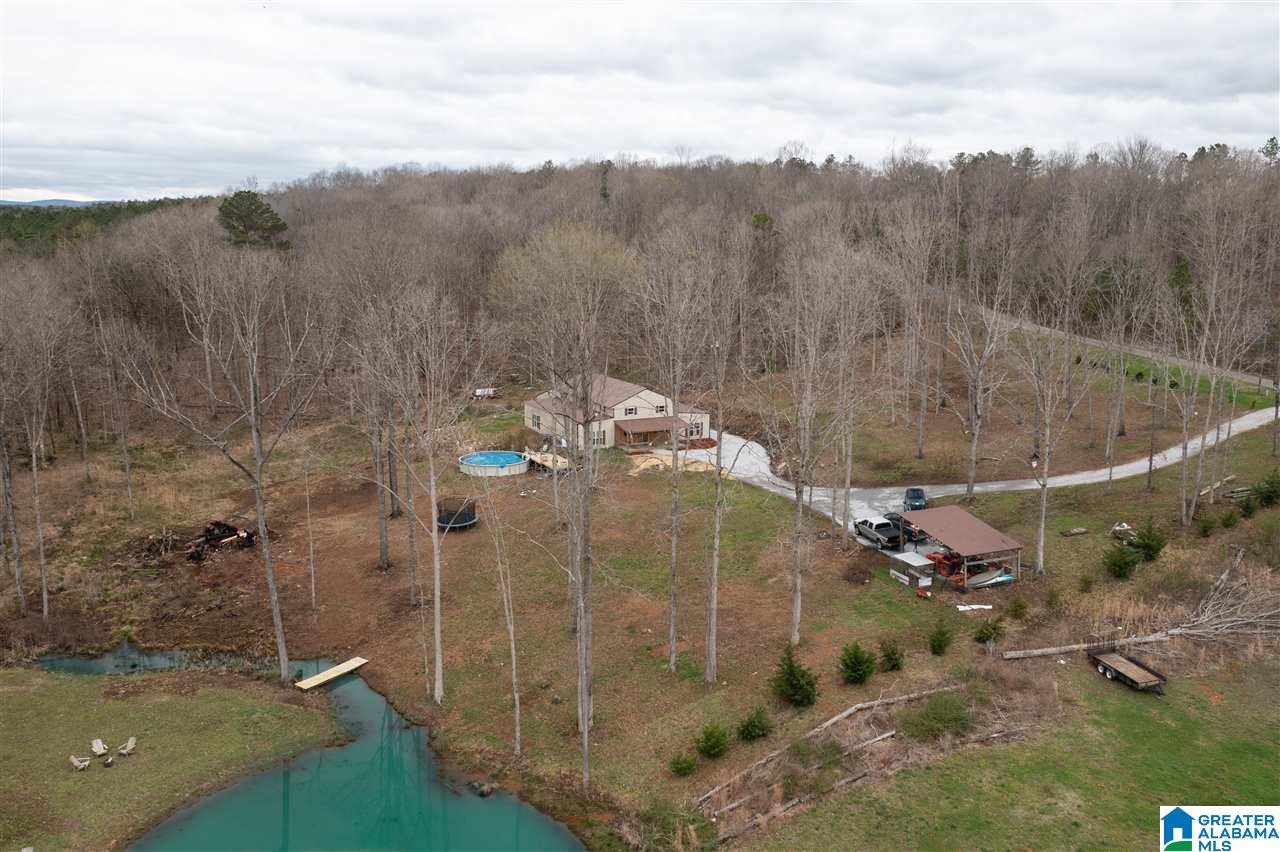 85 County Road 910 Delta, AL 36258 - Photo 25 of 49