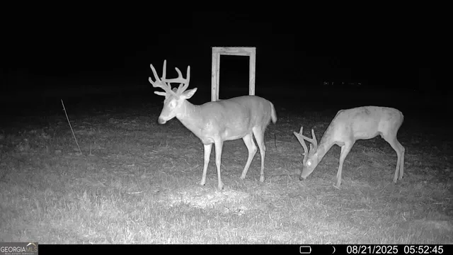 $965,000 | 379 Horseshoe Bend Road, Montezuma, GA 31063