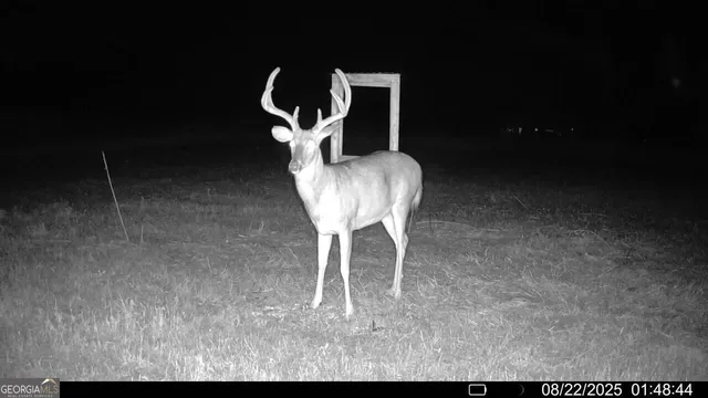 $965,000 | 379 Horseshoe Bend Road, Montezuma, GA 31063