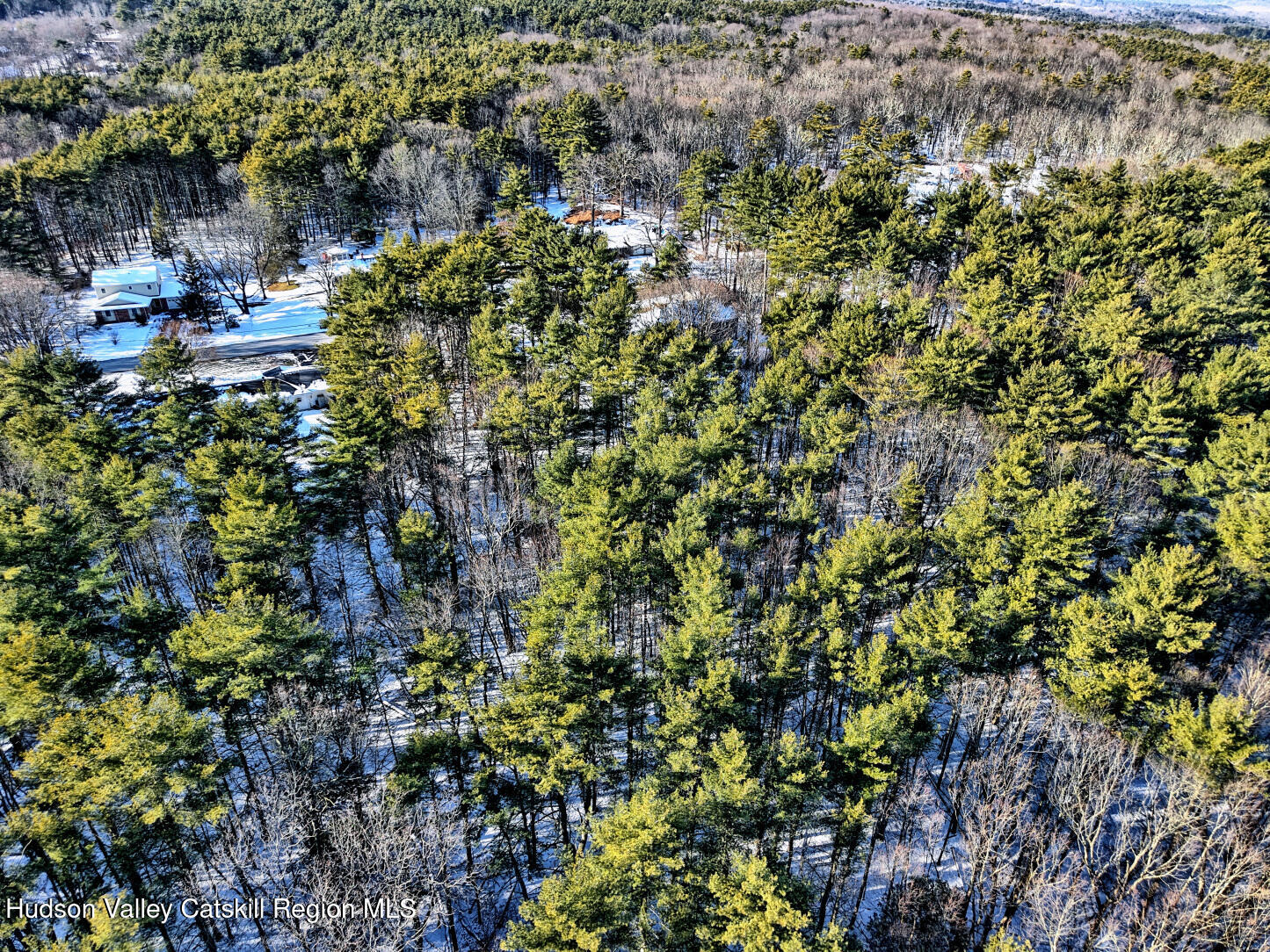 42 Old Rte 23 Cairo, NY 12413 - Photo 61 of 69 a view of a house with a lush green forest
