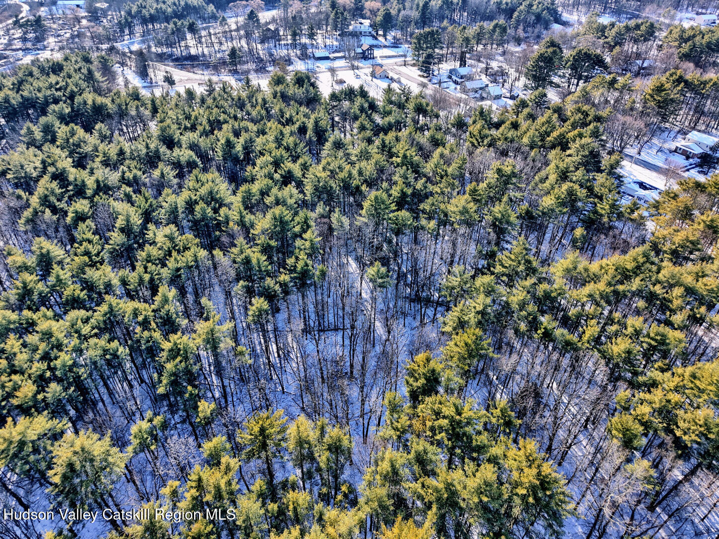 42 Old Rte 23 Cairo, NY 12413 - Photo 64 of 69 a view of a garden with plants