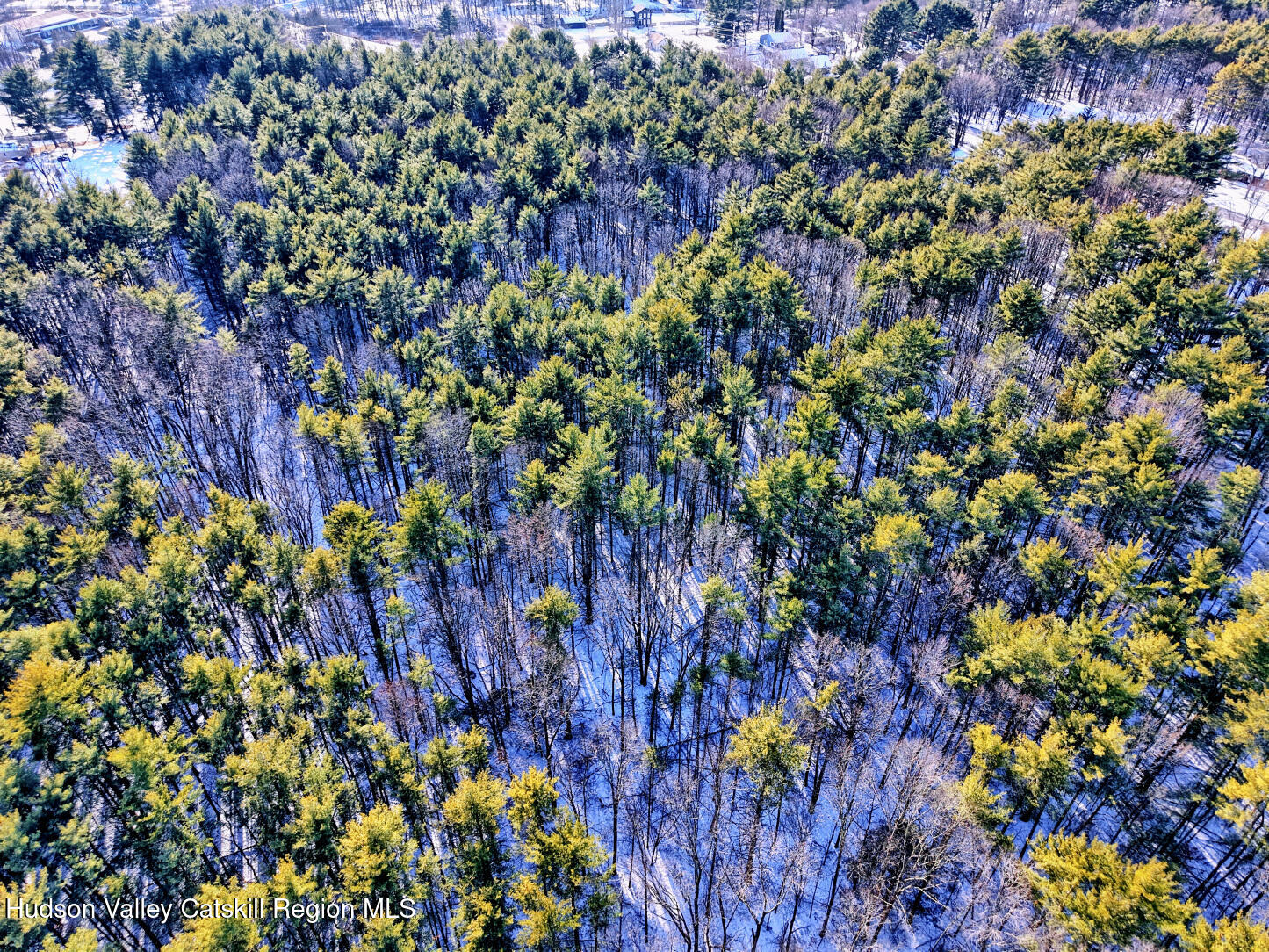 42 Old Rte 23 Cairo, NY 12413 - Photo 65 of 69 9zzd