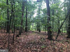 53.5-ac South Timber Ridge Road Cross Junction, VA 22625 - Photo 2 of 21