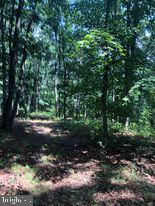 53.5-ac South Timber Ridge Road Cross Junction, VA 22625 - Photo 14 of 21