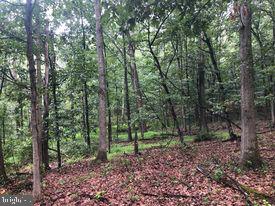 53.5-ac South Timber Ridge Road Cross Junction, VA 22625 - Photo 16 of 21