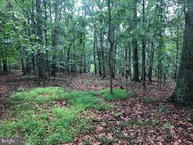 53.5-ac South Timber Ridge Road Cross Junction, VA 22625 - Photo 3 of 21