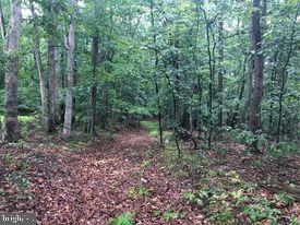 53.5-ac South Timber Ridge Road Cross Junction, VA 22625 - Photo 21 of 21