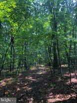 53.5-ac South Timber Ridge Road Cross Junction, VA 22625 - Photo 5 of 21