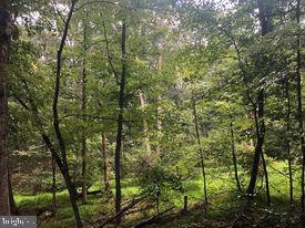 53.5-ac South Timber Ridge Road Cross Junction, VA 22625 - Photo 6 of 21