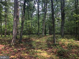 53.5-ac South Timber Ridge Road Cross Junction, VA 22625 - Photo 7 of 21