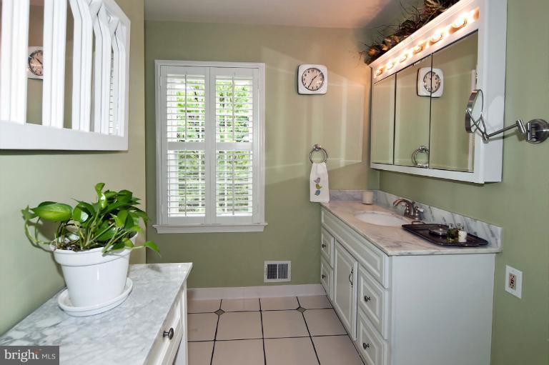 1147 Colonial Road McLean, VA 22101 - Photo 14 of 17 Bath (Master)