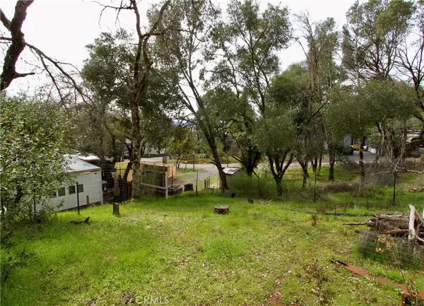 a view of a park with large trees