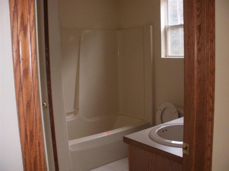 8424 West Peck Lake Road Saranac, MI 48881 - Photo 6 of 10 Additional Photo