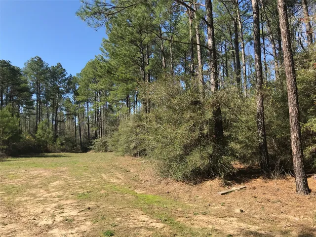 $120,000 | 802 Cr 483 Road South, Broaddus, TX 75929