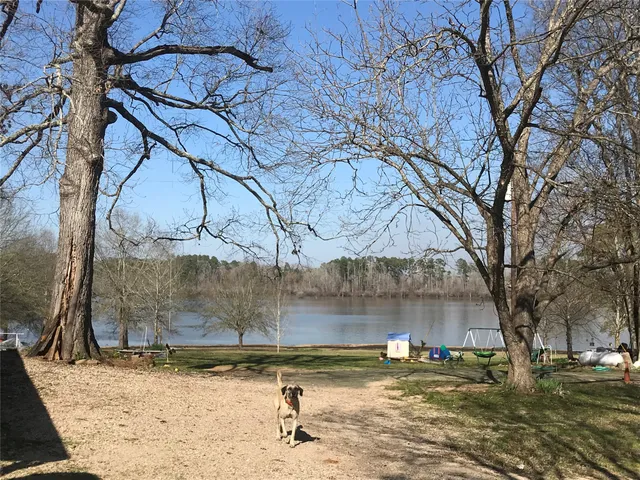 a backyard of a house with large trees and wooden fence