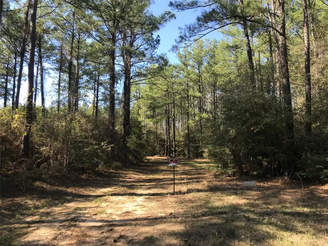 a view of a house with large trees