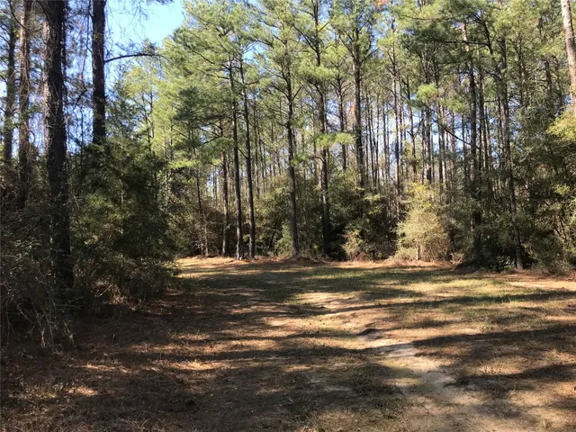 a view of a yard with a trees