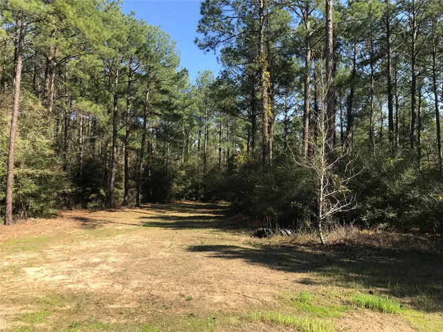 a view of swimming pool with a yard