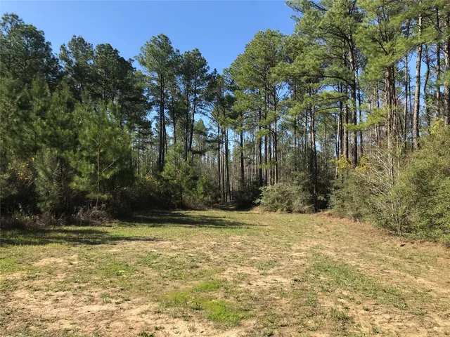a view of a yard with trees