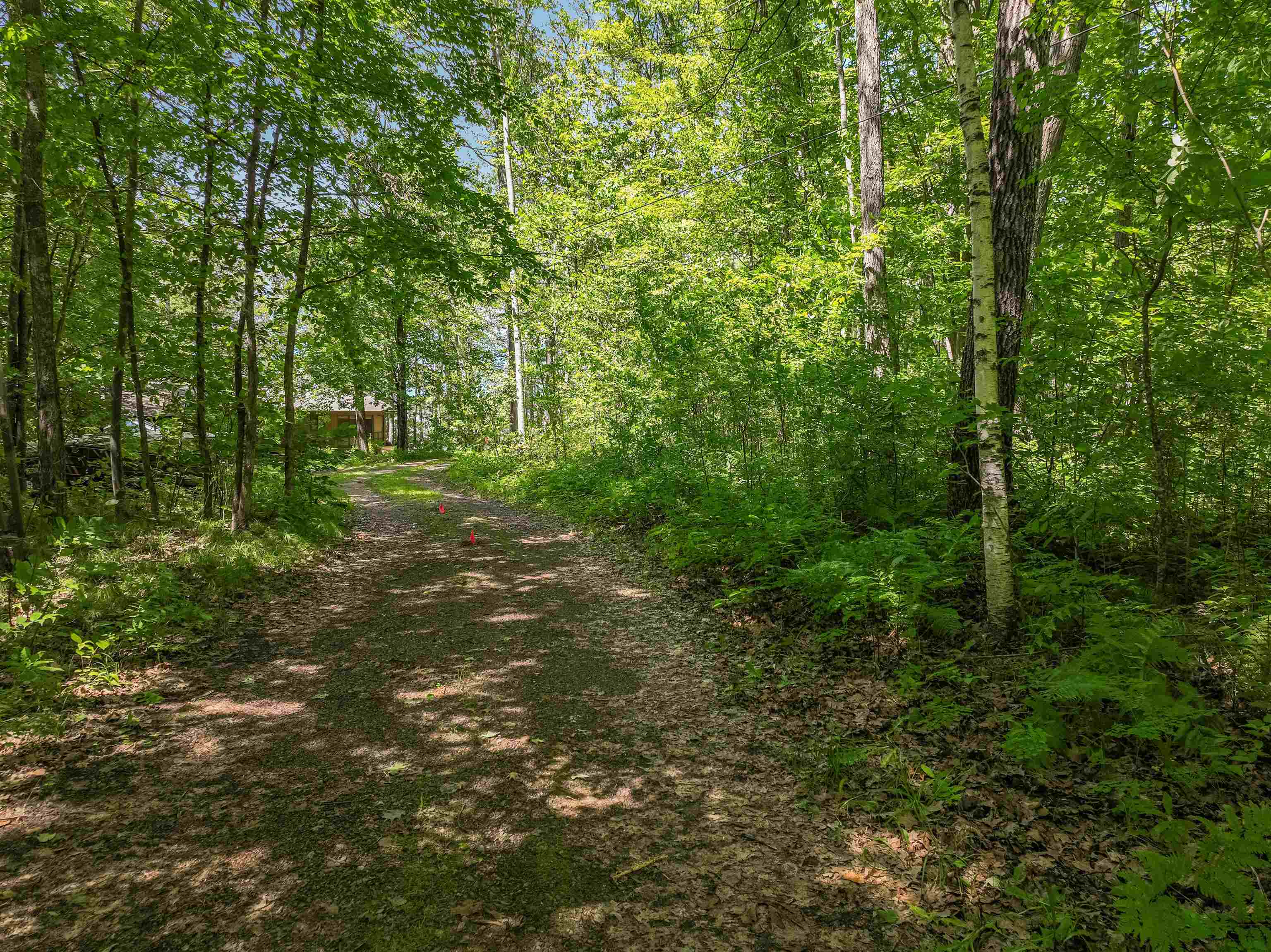 Lot 2 Thoroughfare Road Stone Lake, WI 54876 - Photo 13 of 13 View of tree filled area