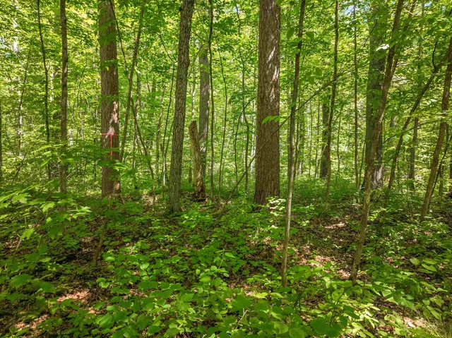$650,000 | Lot 2 Thoroughfare Road, Stone Lake, WI 54876
