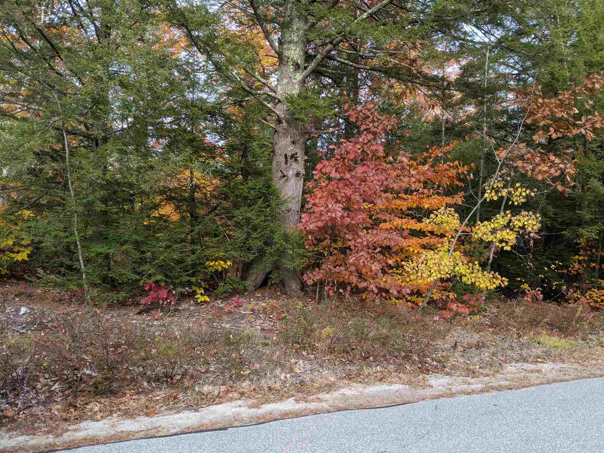 72-4 Nh 03809 Road Alton, NH 03809 - Photo 4 of 9