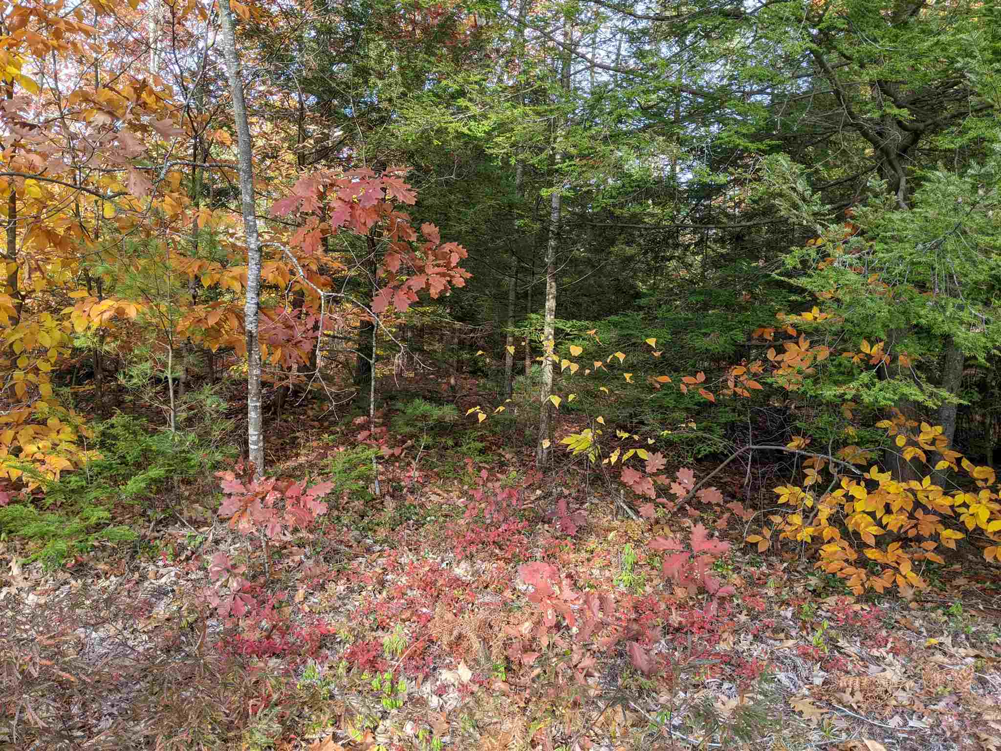 72-4 Nh 03809 Road Alton, NH 03809 - Photo 7 of 9