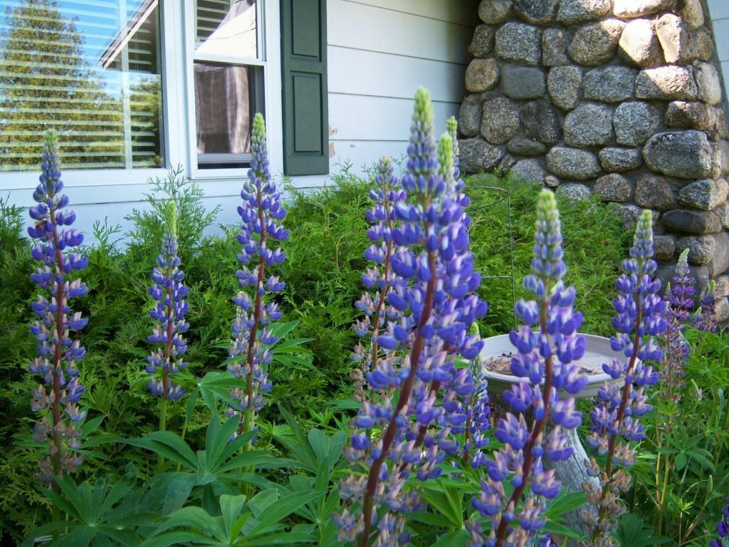63 Dickens Farm Road Eastbrook, ME 04634 - Photo 13 of 17 Photo