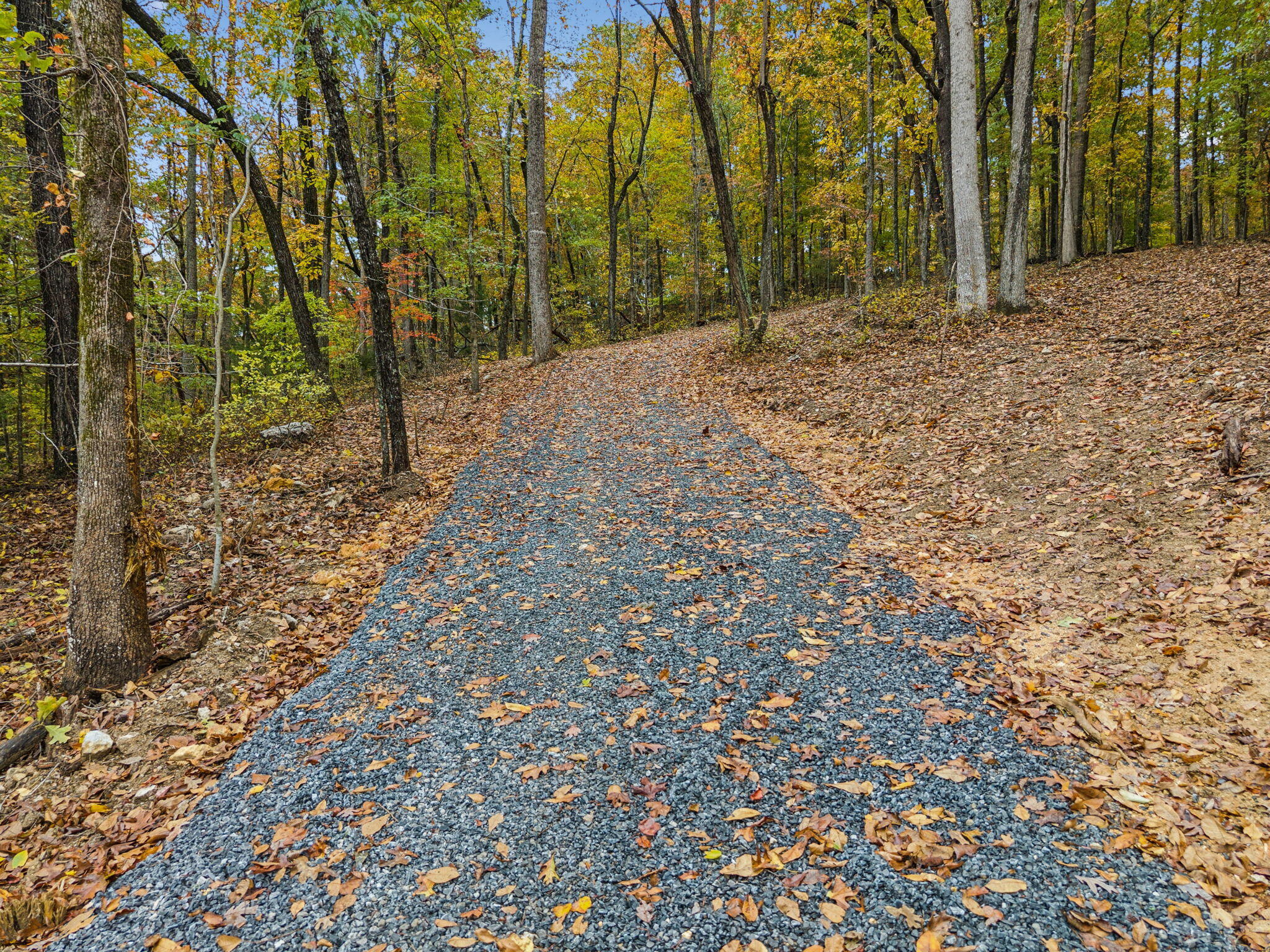 0 Quarles Road Rocky Face, GA 30740 - Photo 2 of 20 19-0 Quarles Rd, Rocky Face - 019