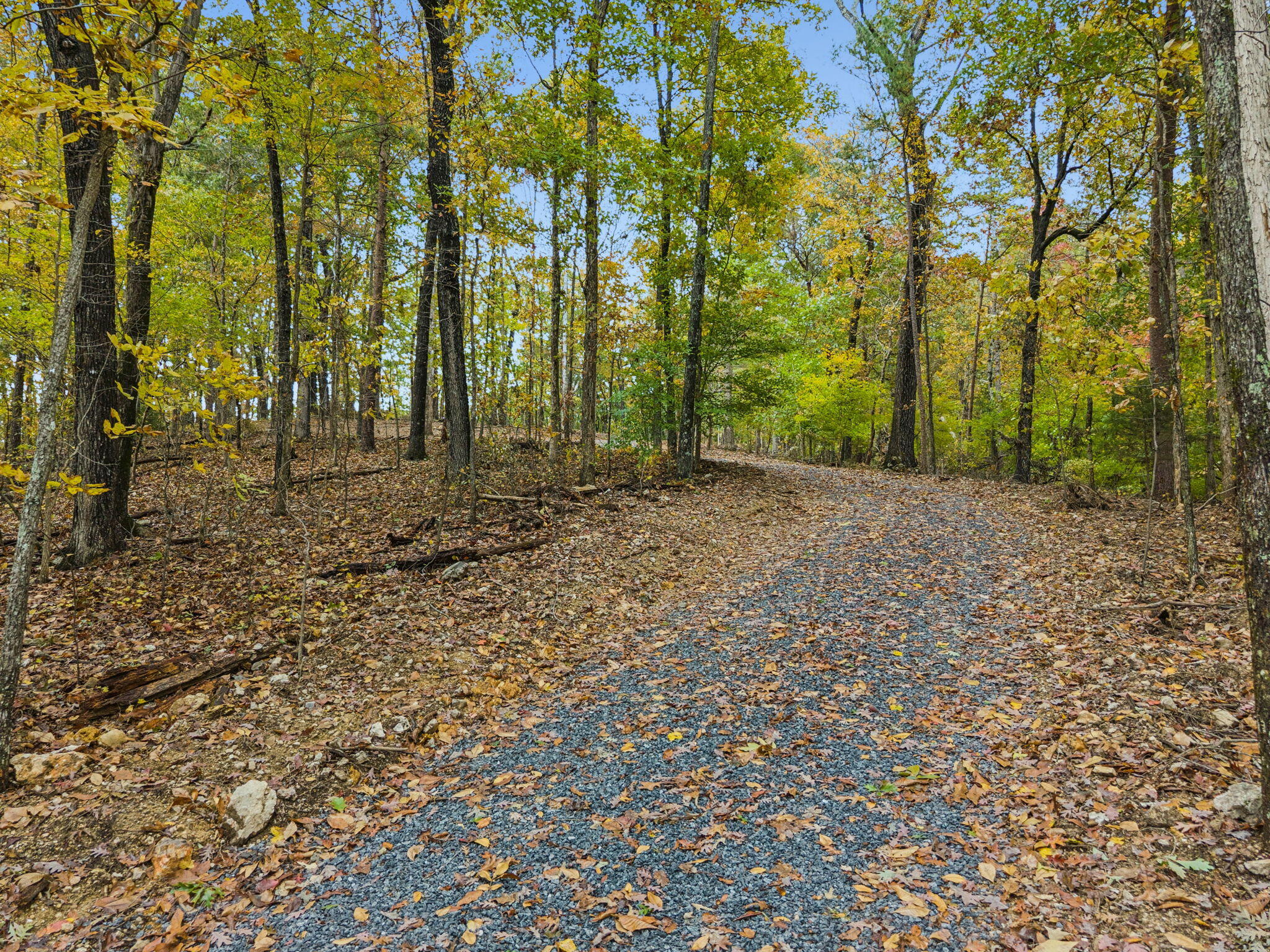0 Quarles Road Rocky Face, GA 30740 - Photo 4 of 20 17-0 Quarles Rd, Rocky Face - 017