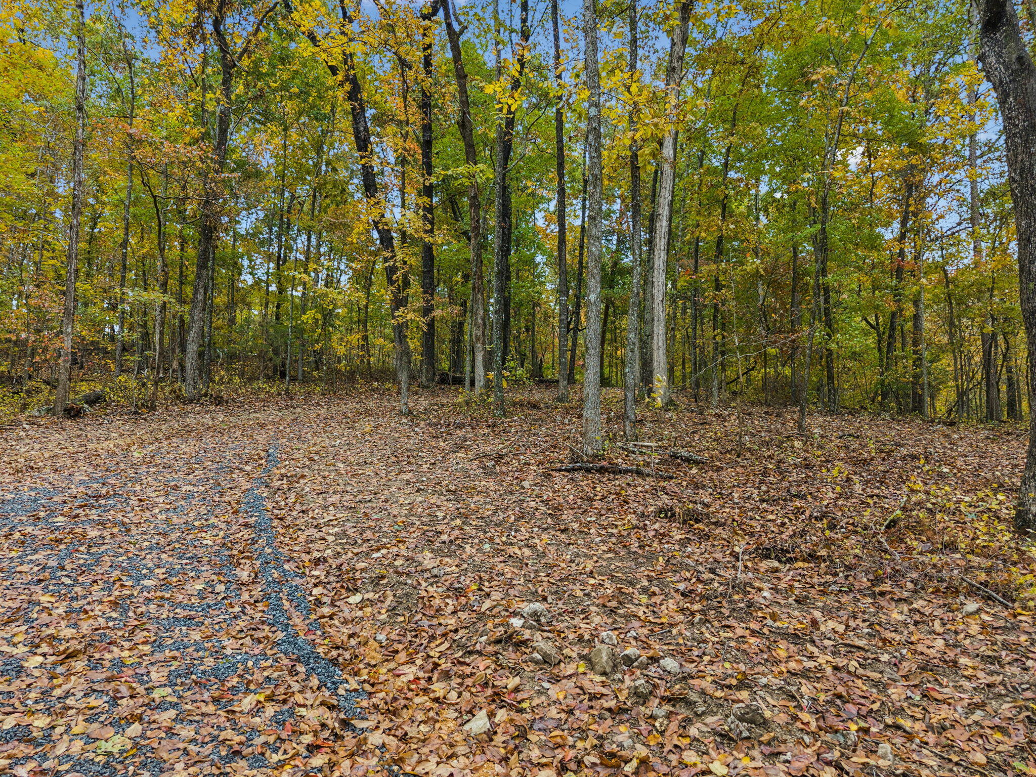 0 Quarles Road Rocky Face, GA 30740 - Photo 6 of 20 20-0 Quarles Rd, Rocky Face - 020