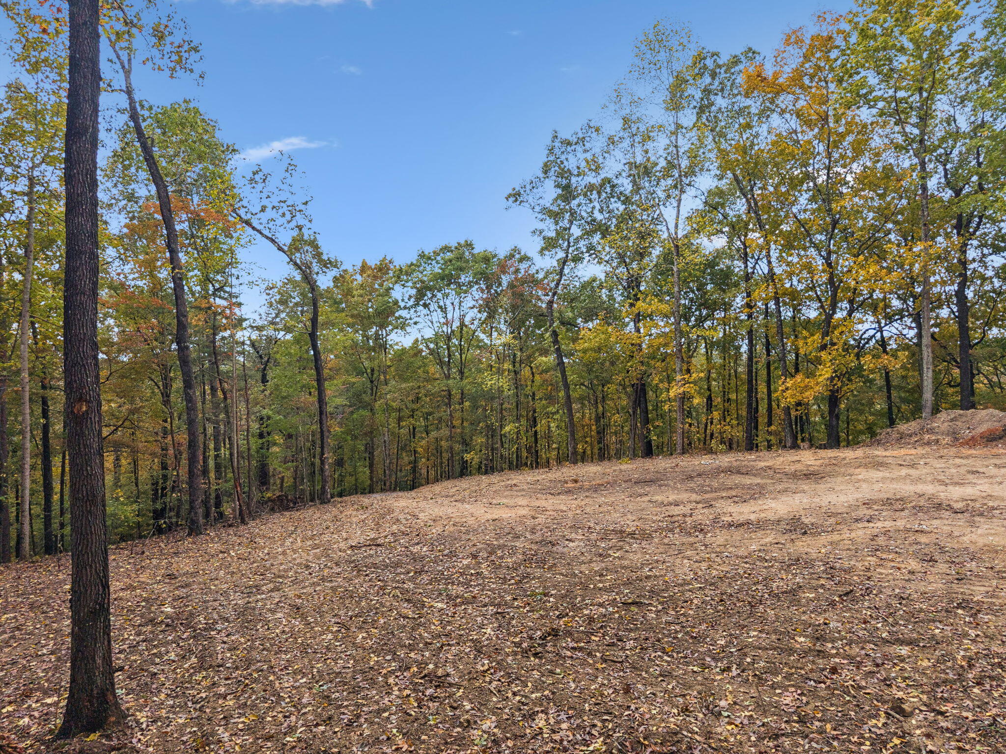 0 Quarles Road Rocky Face, GA 30740 - Photo 10 of 20 11-0 Quarles Rd, Rocky Face - 011