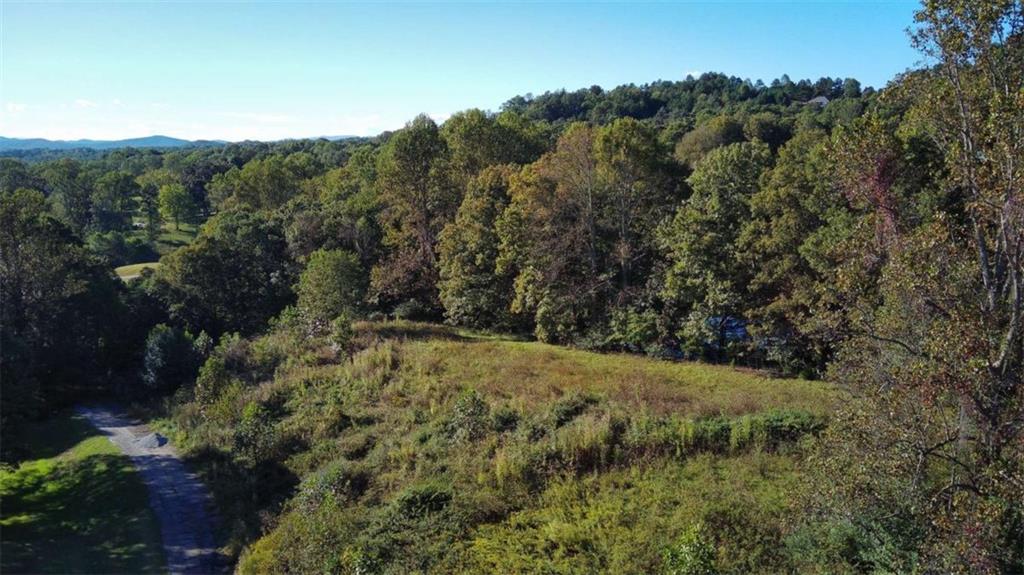 0 Arbor Acres Farm Road Blairsville, GA 30512 - Photo 8 of 24 a view of a yard with a tree