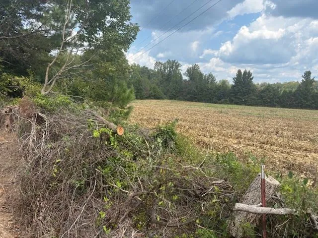 a view of lake with green space