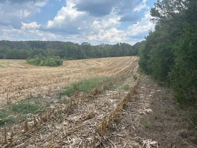 a view of a field with trees in the background
