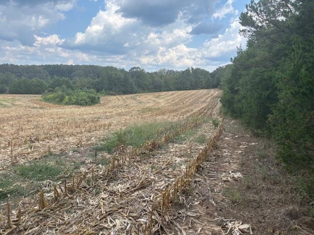 110 Reaves Road Middleton, TN 38052 - Photo 2 of 8 a view of a field with trees in the background