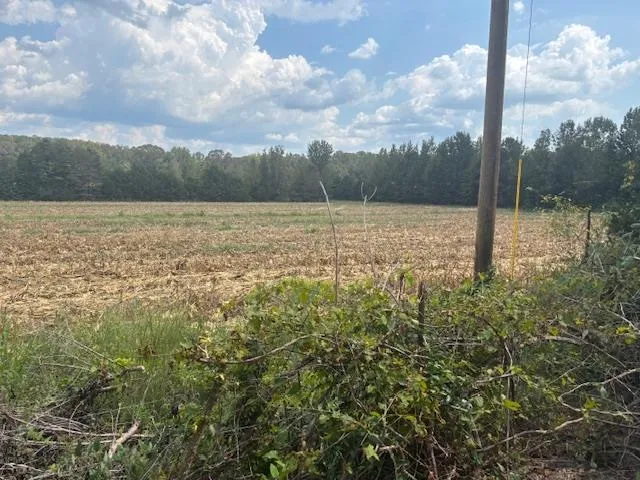 a view of lake and mountain