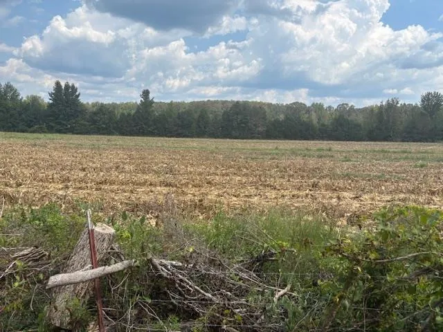 a view of a lake with mountains in the background