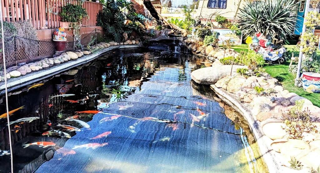 6951 West Lilac Road Bonsall, CA 92003 - Photo 34 of 64