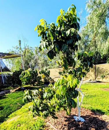 $1,150,000 | 6951 West Lilac Road, Bonsall, CA 92003