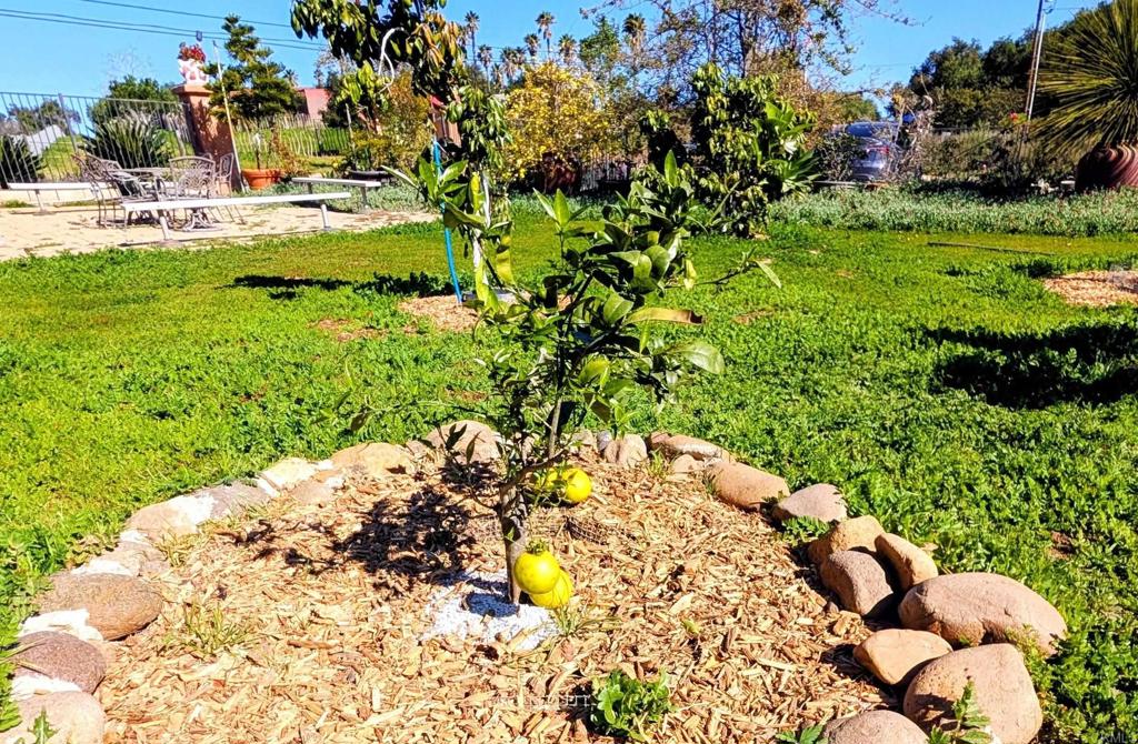 6951 West Lilac Road Bonsall, CA 92003 - Photo 58 of 64