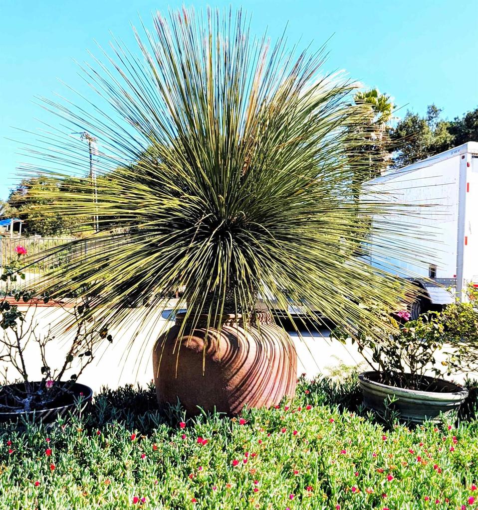 6951 West Lilac Road Bonsall, CA 92003 - Photo 60 of 64