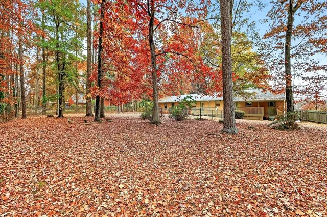 a view of street with trees